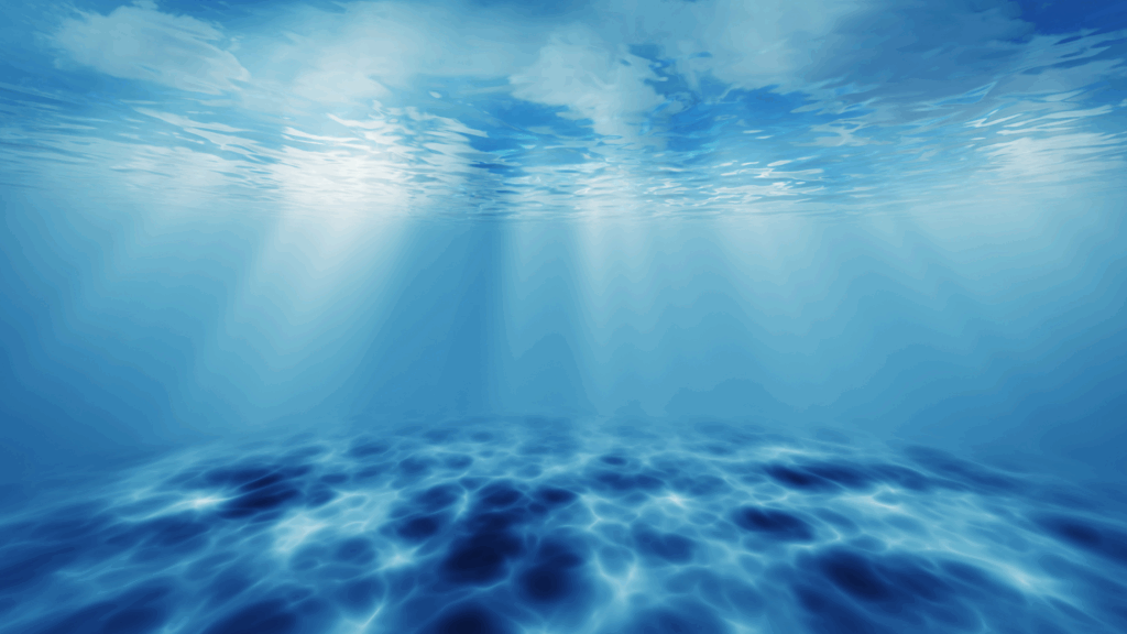 亀有のイメージ画